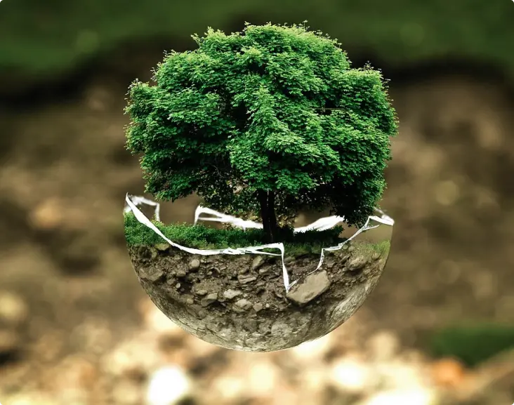 ISO 14001 - wdrożenie normy środowiskowej