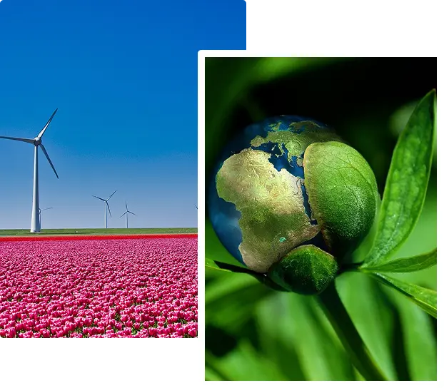 ISO 14001 wdrożenia